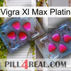 Vigra Xl Max Platinum 15